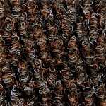 gymnasium floor protector